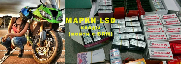 прущие грибы Мегион